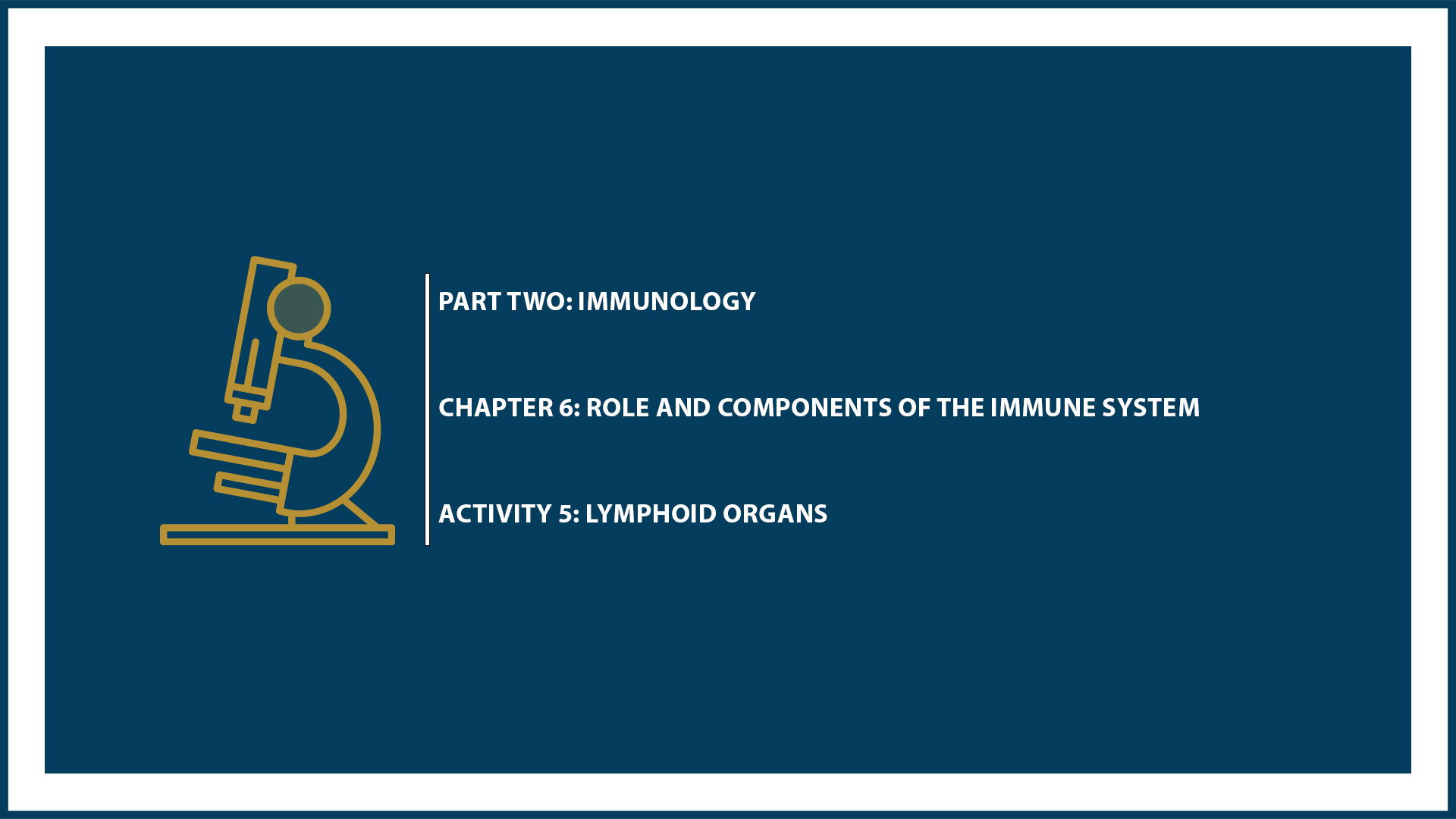 Unit Two: Chapter 5 - Document 5: Lymphoid organs